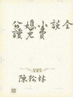 公媳小说全文阅读免费