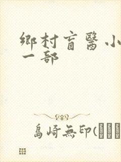 乡村盲医小说第一部