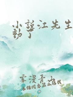 小说江先生你心动了