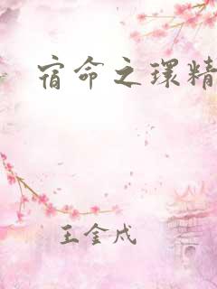 宿命之环精校版