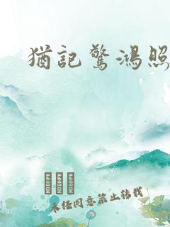 犹记惊鸿照影