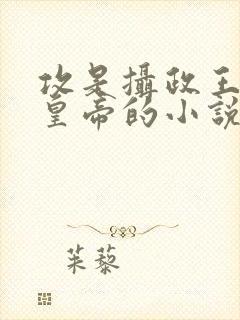 攻是摄政王受是皇帝的小说