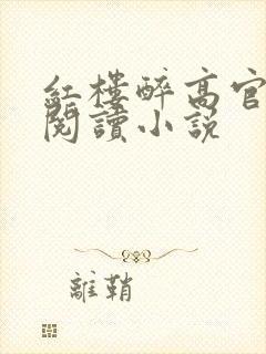 红楼醉高官免费阅读小说