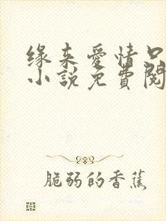 缘来爱情只为你小说免费阅读