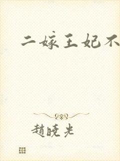 二嫁王妃不好惹
