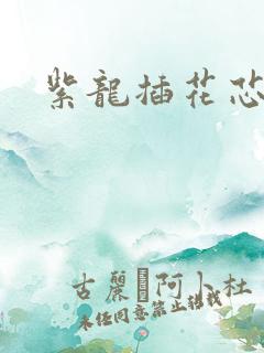 紫龙插花芯
