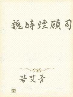 魏时烟顾司凌