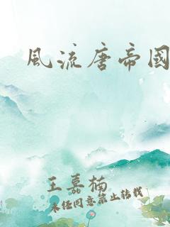 风流唐帝国