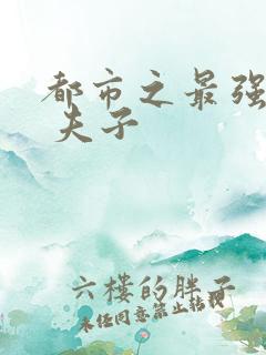 都市之最强仙医 夫子