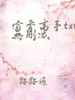 偷香高手txt无删减