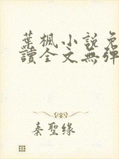 叶枫小说免费阅读全文无弹窗最新