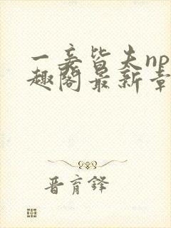 一妾皆夫np笔趣阁最新章节更新