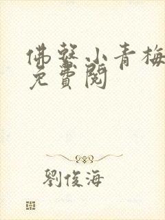 佛系小青梅小说免费阅