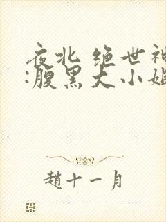 夜北 绝世神医:腹黑大小姐