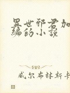 异世邪君加料改编的小说