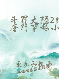斗罗大陆2绝世唐门穿越小说