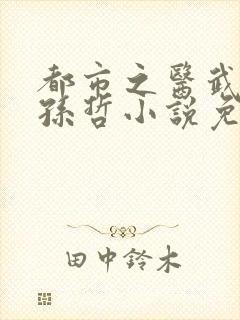 都市之医武风流孙哲小说免费阅读