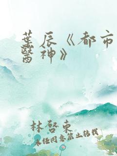 叶辰《都市极品医神》
