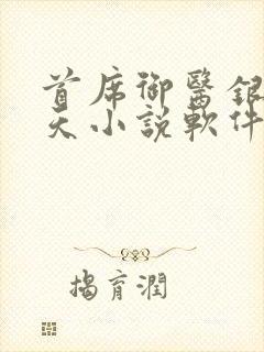 首席御医银河九天小说软件