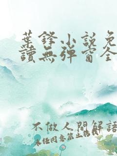 叶锋小说免费阅读无弹窗全文