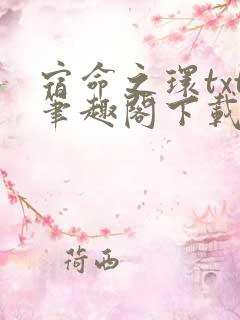 宿命之环txt笔趣阁下载