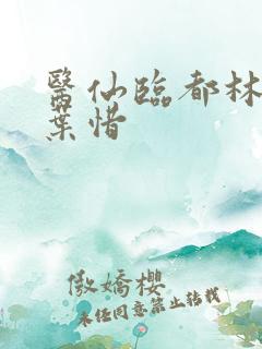 医仙临都林凡和叶惜