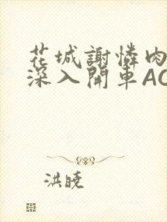 花城谢怜肉车长深入开车AO3