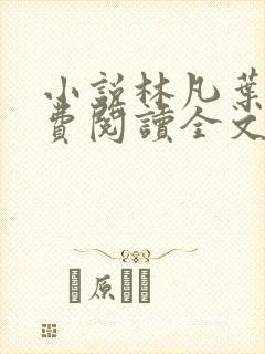 小说林凡叶惜免费阅读全文最新