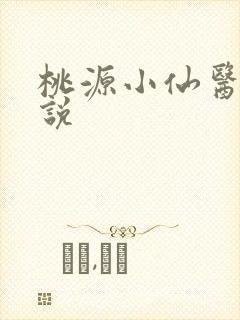 桃源小仙医,小说