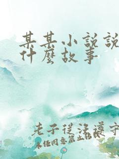 某某小说说的是什么故事