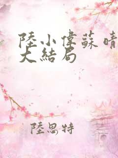 陆小伟苏晴小说大结局