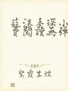 苏沫秦琛小说免费阅读无弹窗