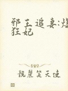邪王追妻:爆宠狂妃