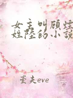 女主叫顾烟男主姓陆的小说