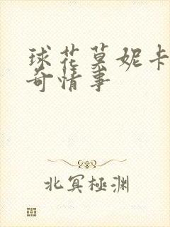 球花莫妮卡贝鲁奇情事