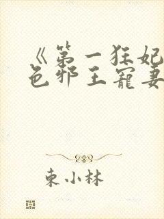《第一狂妃:绝色邪王宠妻无度》