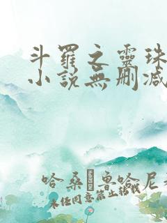 斗罗之灵珠神剑小说无删减版