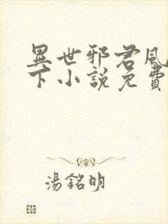 异世邪君风凌天下小说免费阅读全文
