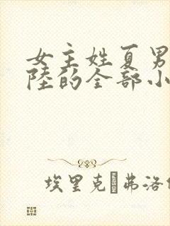 女主姓夏男主姓陆的全部小说