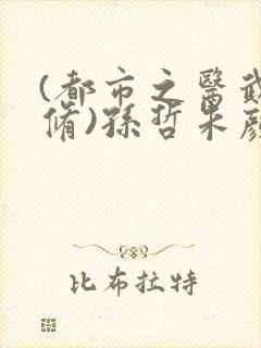 (都市之医武双修)孙哲朱颜