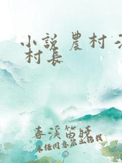 小说 农村 淫 村长