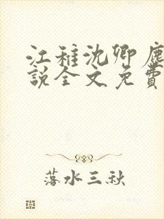 江稚沈卿尘的小说全文免费阅读最新贺