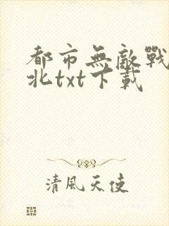 都市无敌战神林北txt下载