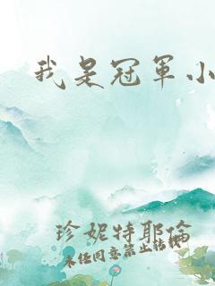 我是冠军小说