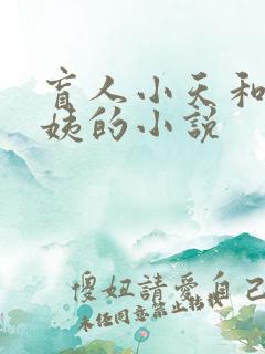 盲人小天和吴阿姨的小说