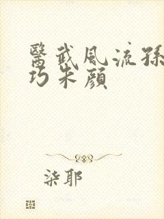 医武风流孙哲叶巧朱颜