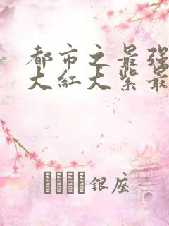都市之最强狂兵大红大紫最新篇章