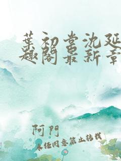 叶初棠沈延川笔趣阁最新章节更新