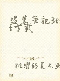 盗墓笔记3txt下载