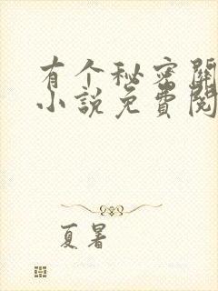 有个秘密关于你小说免费阅读